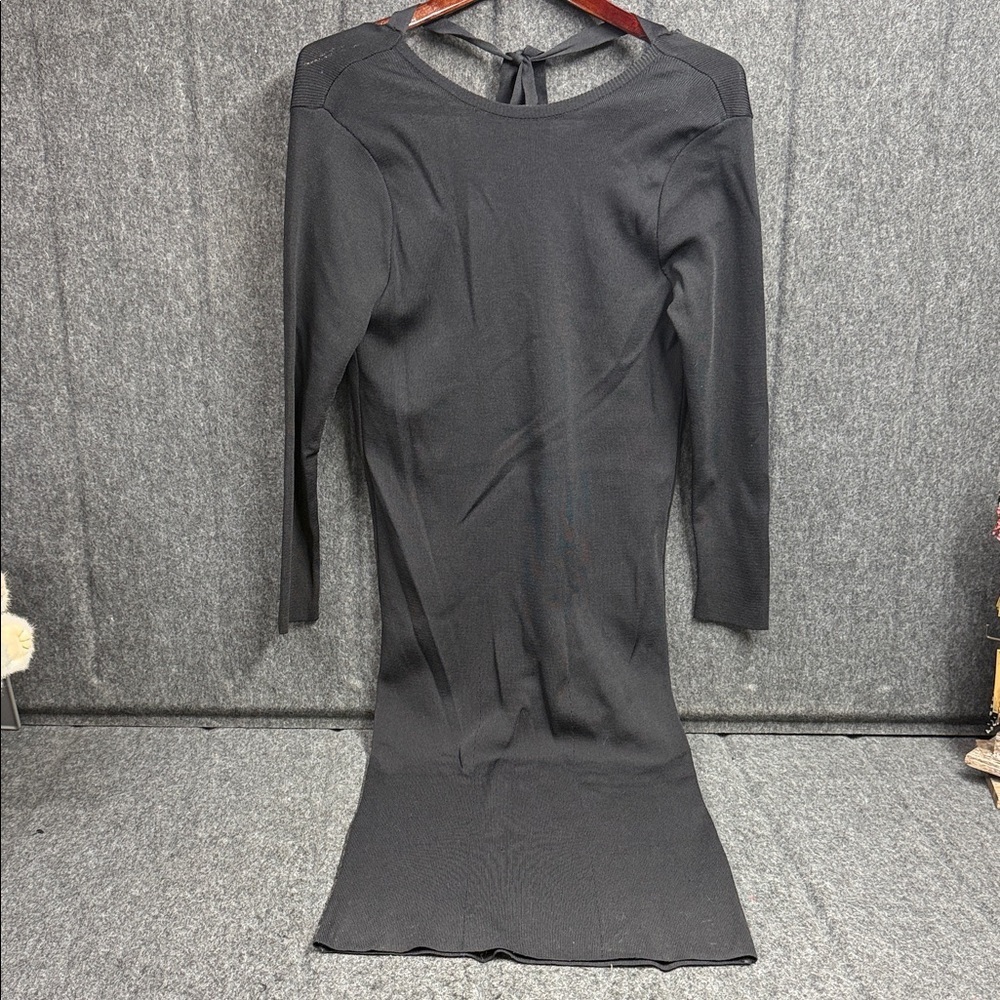 Zara Classic Black Long Sleeve Dress